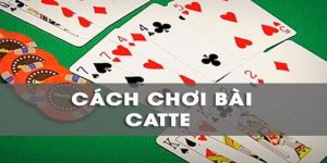 Bài Catte Là Gì? Cách Chơi Catte Cho Người Mới Bắt Đầu