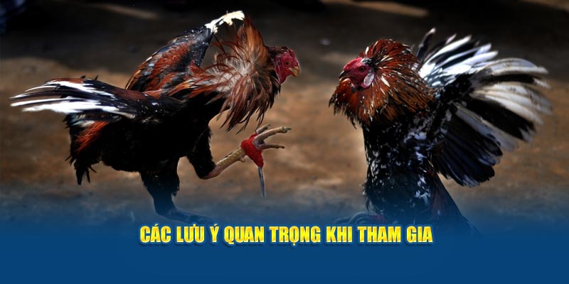 Những lưu ý quan trọng khi tham gia